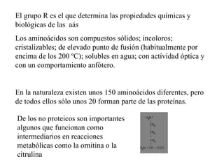 El grupo R es el que determina las propiedades químicas y biológicas de las aás Los aminoácidos son compuestos sólidos; incoloros; cristalizables; de elevado punto de fusión (habitualmente por encima de los 200 ºC); solubles en agua; con actividad óptica y con un comportamiento anfótero. En la naturaleza existen unos 150 aminoácidos diferentes, pero de todos ellos sólo unos 20 forman parte de las prote í nas. De los no proteicos son importantes algunos que funcionan como intermediarios en reacciones metabólicas como la ornitina o la citrulina