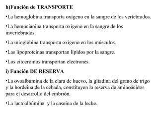 h) Función de TRANSPORTE La hemoglobina transporta oxígeno en la sangre de los vertebrados. La hemocianina transporta oxígeno en la sangre de los invertebrados. La mioglobina transporta oxígeno en los músculos. Las lipoproteínas transportan lípidos por la sangre. Los citocromos transportan electrones. i) Función DE RESERVA La ovoalbúmina de la clara de huevo, la gliadina del grano de trigo y la hordeina de la cebada, constituyen la reserva de aminoácidos para el desarrollo del embrión. La lactoalbúmina y la caseína de la leche.