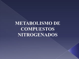 METABOLISMO DE COMPUESTOS NITROGENADOS 