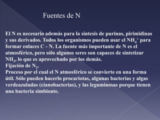 CICLO GLUCOSA - ALANIMA.	Otra posibilidad de transporte hasta el hígado del NH4+ es que recoja en forma de alamina.