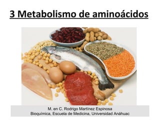 3 Metabolismo de aminoácidos M. en C. Rodrigo Martínez Espinosa Bioquímica, Escuela de Medicina, Universidad Anáhuac 