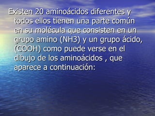 Existen 20 aminoácidos diferentes y
 todos ellos tienen una parte común
 en su molécula que consisten en un
 grupo amino (NH3) y un grupo ácido,
 (COOH) como puede verse en el
 dibujo de los aminoácidos , que
 aparece a continuación:
 