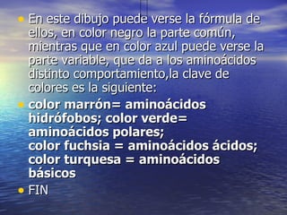 • En este dibujo puede verse la fórmula de
  ellos, en color negro la parte común,
  mientras que en color azul puede verse la
  parte variable, que da a los aminoácidos
  distinto comportamiento,la clave de
  colores es la siguiente:
• color marrón= aminoácidos
  hidrófobos; color verde=
  aminoácidos polares;
  color fuchsia = aminoácidos ácidos;
  color turquesa = aminoácidos
  básicos
• FIN
 