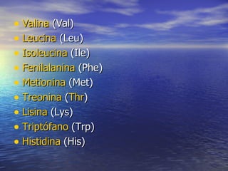 • Valina (Val)
• Leucina (Leu)
• Isoleucina (Ile)
• Fenilalanina (Phe)
• Metionina (Met)
• Treonina (Thr)
• Lisina (Lys)
• Triptófano (Trp)
• Histidina (His)
 
