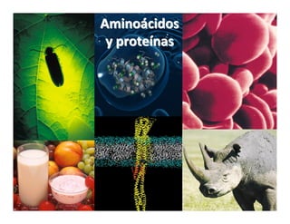 Aminoácidos
 y proteínas
 