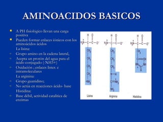 AMINOACIDOS BASICOS
   A PH fisiológico llevan una carga
    positiva
   Pueden formar enlaces iónicos con los
    amino...