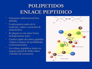 POLIPETIDOS
               ENLACE PEPTIDICO
•   Estructura tridimensional bien
    definida
•   Conformación nativa de la
...