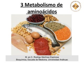 3 Metabolismo de
       aminoácidos




         M. en C. Rodrigo Martínez Espinosa
Bioquímica, Escuela de Medicina, Universidad Anáhuac
 