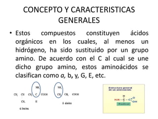 CONCEPTO Y CARACTERISTICAS
           GENERALES
• Estos     compuestos       constituyen ácidos
  orgánicos en los cuales, al menos un
  hidrógeno, ha sido sustituido por un grupo
  amino. De acuerdo con el C al cual se une
  dicho grupo amino, estos aminoácidos se
  clasifican como a, b, y, G, E, etc.
 