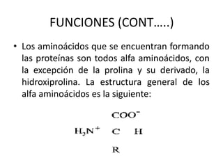 FUNCIONES (CONT…..)
• Los aminoácidos que se encuentran formando
  las proteínas son todos alfa aminoácidos, con
  la excepción de la prolina y su derivado, la
  hidroxiprolina. La estructura general de los
  alfa aminoácidos es la siguiente:
 