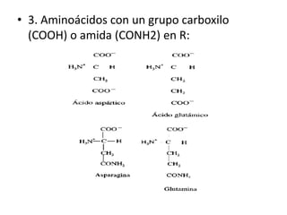 • 3. Aminoácidos con un grupo carboxilo
  (COOH) o amida (CONH2) en R:
 