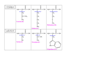 O                         O                       O


Met
Leu
Lys

Phe
Pro
      H2N     CH    C     OH   H2N     CH     C    OH   H2N     CH    C   OH

              CH2                      CH2                      CH2

              CH    CH3                CH2                      CH2

              CH3                      CH2                      S
      Leucina (8)
                                       CH2                      CH3
                                                        Metionina (10)
                                       NH2
                               Lisina (13)
                    O                         O                       O
Thr

Tyr
Trp

Val
Ser




      H2N     CH    C     OH   H2N     CH     C    OH   H2N     CH    C   OH

              CH2                      CH     OH                CH2

              OH                       CH3
      Serina (3)               Treonina (6)

                                                           HN


                                                        Triptofano (17)
 