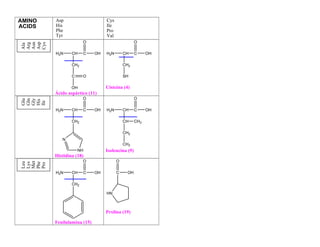 AMINO   Asp                      Cys
ACIDS   His                      Ile
        Phe                      Pro
        Tyr                      Val
                      O                           O
Asn
Asp
Cys
Arg
Ala




        H2N     CH    C     OH   H2N       CH     C     OH

                CH2                        CH2

                C     O                    SH

                OH               Cisteína (4)
        Ácido aspártico (11)
                      O                           O
Glu
Gln
Gly
His
Ile




        H2N     CH    C     OH   H2N       CH     C     OH

                CH2                        CH     CH3

                                           CH2
           N
                                           CH3
                    NH           Isoleucina (9)
        Histidina (18)
                      O                O
Met
Leu
Lys

Phe
Pro




        H2N     CH    C     OH         C    OH

                CH2

                                 HN



                                 Prolina (19)

        Fenilalamina (15)
 