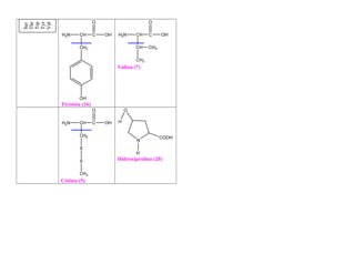 O                      O

Thr
Trp
Tyr
Val
Ser
      H2N     CH      C   OH   H2N     CH    C     OH

              CH2                      CH    CH3

                                       CH3
                               Valina (7)




              OH
      Tirosina (16)
                      O            O

      H2N     CH      C   OH   H


              CH2                                  COOH
                                       N
              S
                                       H
              S                Hidroxiprolina (20)

              CH3
      Cistina (5)
 