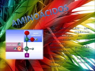 Los    aminoácidos  son
compuestos     orgánicos
fundamentales    en   la
conformación    de   las
proteínas.          Son
hidrosolubles y están
conformados    por   un
grupo amino en un
extremo y otro llamado
carboxilo en el extremo
opuesto.
 