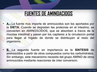 FUENTES DE AMINOACIDOS
• A.- La fuente más importe de aminoácidos son los aportados por
  la DIETA. Cuando se degradan las proteínas en el intestino, se
  convierten en AMINOÁCIDOS, que se absorben a través de la
  mucosa intestinal y pasan por los capilares a la circulación portal
  para llegar al hígado de donde se distribuyen al resto del
  organismo.

• B. La segunda fuente en importancia es la SINTESIS de
  aminoácidos a partir de otros compuestos como los carbohidratos.
  Sin embargo, este mecanismo necesita del grupo AMINO de otros
  aminoácidos mediante reacciones de ínter conversión.
 
