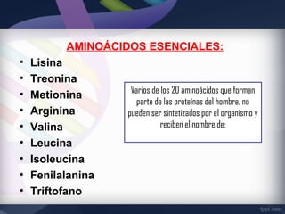 AMINOÁCIDOS ESENCIALES:
•   Lisina
•   Treonina
•                   Varios de los 20 aminoácidos que forman
    Metionina
                      parte de las proteínas del hombre, no
•   Arginina       pueden ser sintetizados por el organismo y
•   Valina                    reciben el nombre de:
•   Leucina
•   Isoleucina
•   Fenilalanina
•   Triftofano
 