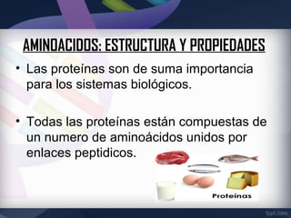 AMINOACIDOS: ESTRUCTURA Y PROPIEDADES
• Las proteínas son de suma importancia
  para los sistemas biológicos.

• Todas las proteínas están compuestas de
  un numero de aminoácidos unidos por
  enlaces peptidicos.
 