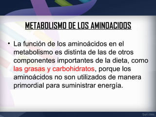 METABOLISMO DE LOS AMINOACIDOS
• La función de los aminoácidos en el
  metabolismo es distinta de las de otros
  componentes importantes de la dieta, como
  las grasas y carbohidratos, porque los
  aminoácidos no son utilizados de manera
  primordial para suministrar energía.
 