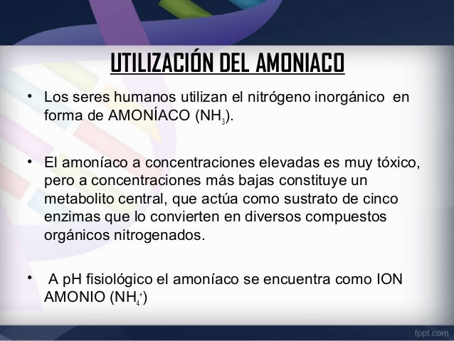 Aminoacidos