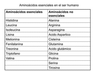 Aminoácidos esenciales Aminoácidos no
esenciales
Histidina Alanina
Leucina Arginina
Isoleucina Asparagina
Lisina Acido Aspartico
Metionina Cisteína
Fenilalanina Glutamina
Treonina Acido glutámico
Triptofano Glicina
Valina Prolina
Serina
Tirosina
Aminoácidos esenciales en el ser humano
 