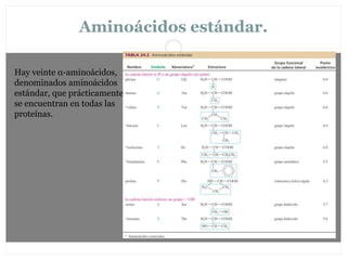 Aminoácidos estándar.
Hay veinte α-aminoácidos,
denominados aminoácidos
estándar, que prácticamente
se encuentran en todas las
proteínas.
 