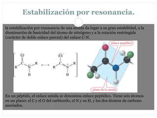 Estabilización por resonancia.
la estabilización por resonancia de una amida da lugar a su gran estabilidad, a la
disminución de basicidad del átomo de nitrógeno y a la rotación restringida
(carácter de doble enlace parcial) del enlace C-N.
En un péptido, el enlace amida se denomina enlace peptídico. Tiene seis átomos
en un plano: el C y el O del carbionilo, el N y su H, y los dos átomos de carbono
asociados.
 