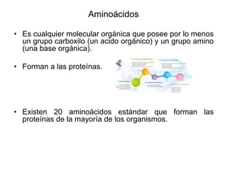 • Es cualquier molecular orgánica que posee por lo menos
un grupo carboxilo (un acido orgánico) y un grupo amino
(una base orgánica).
• Forman a las proteínas.
• Existen 20 aminoácidos estándar que forman las
proteínas de la mayoría de los organismos.
Aminoácidos
 