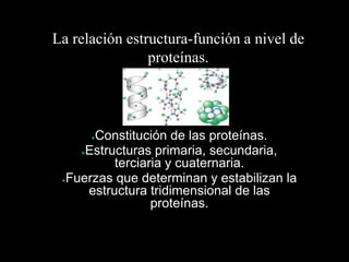 La relación estructura-función a nivel de
proteínas.
●Constitución de las proteínas.
●Estructuras primaria, secundaria,
terciaria y cuaternaria.
●Fuerzas que determinan y estabilizan la
estructura tridimensional de las
proteínas.
*
 