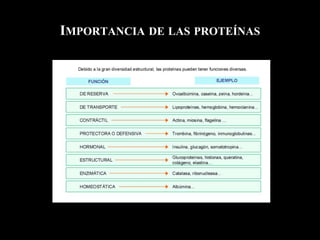 IMPORTANCIA DE LAS PROTEÍNAS
*
 