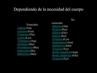 Dependiendo de la necesidad del cuerpo
Esenciales
●Valina (Val)
●Leucina (Leu)
●Treonina (Thr)
●Lisina (Lys)
●Triptófano (Trp)
●Histidina (His)
●Fenilalanina (Phe)
●Isoleucina (Ile)
●Metionina (Met)
No
esenciales
●Alanina (Ala)
●Prolina (Pro)
●Glicina (Gly)
●Serina (Ser)
●Cisteína (Cys)
●Asparagina (Asn)
●Glutamina (Gln)
●Tirosina (Tyr)
●Ácido aspártico (Asp)
●Ácido glutámico (Glu)
●Tirosina (Tyr)
*
 