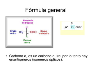 Fórmula general
• Carbono α, es un carbono quiral por lo tanto hay
enantiomeros (isomeros ópticos).
 