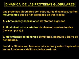 DINÁMICA DE LAS PROTEÍNAS GLOBULARES
Las proteínas globulares son estructuras dinámicas, sufren
movimientos que se han agrupado en tres clases:
1. Vibraciones y oscilaciones de átomos ó grupos
2. Movimientos concertados de elementos estructurales
(hélices, por ej.)
3. Movimientos de dominios completos, apertura y cierre de
hendiduras.
Los dos últimos son bastante más lentos y están implicados
en las funciones catalíticas de las enzimas.
 