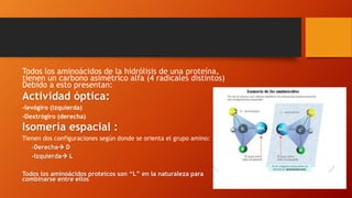 Todos los aminoácidos de la hidrólisis de una proteína,
tienen un carbono asimétrico alfa (4 radicales distintos)
Debido a esto presentan:
Actividad óptica:
-levógiro (izquierda)
-Dextrógiro (derecha)
Isomería espacial :
Tienen dos configuraciones según donde se orienta el grupo amino:
-Derecha D
-Izquierda L
Todos los aminoácidos proteicos son “L” en la naturaleza para
combinarse entre ellos
 