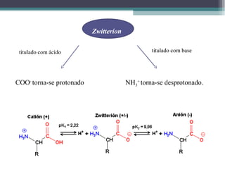 COO-
torna-se protonado NH3
+
torna-se desprotonado.
Zwitteríon
titulado com ácido titulado com base
 