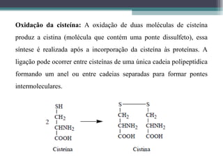 Oxidação da cisteína: A oxidação de duas moléculas de cisteína
produz a cistina (molécula que contém uma ponte dissulfeto), essa
síntese é realizada após a incorporação da cisteína às proteínas. A
ligação pode ocorrer entre cisteínas de uma única cadeia polipeptídica
formando um anel ou entre cadeias separadas para formar pontes
intermoleculares.
 