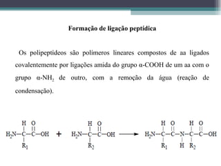 Formação de ligação peptídica
Os polipeptídeos são polímeros lineares compostos de aa ligados
covalentemente por ligações amida do grupo α-COOH de um aa com o
grupo α-NH2 de outro, com a remoção da água (reação de
condensação).
 