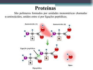 Proteínas
São polímeros formados por unidades monoméricas chamadas
α-aminoácidos, unidos entre si por ligações peptídicas.
 