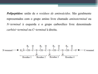 Polipeptídeo: união de n resíduos de aminoácidos. São geralmente
representados com o grupo amino livre chamado aminoterminal ou
N−terminal à esquerda e o grupo carboxílico livre denominado
carbóxi−terminal ou C−terminal à direita.
 
