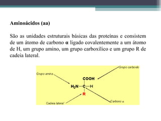 Aminoácidos (aa)
São as unidades estruturais básicas das proteínas e consistem
de um átomo de carbono α ligado covalentemente a um átomo
de H, um grupo amino, um grupo carboxílico e um grupo R de
cadeia lateral.
 