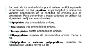 La unión de los aminoácidos por el enlace peptídico permite
la formación de los péptidos, cuya longitud y secuencia
variable dependerán de la cantidad de enlaces que se
produzcan. Para denominar a estas cadenas se utilizan los
siguientes prefijos convencionales:
Dipéptidos: dos aminoácidos unidos.
Tripéptidos: tres aminoácidos unidos.
Tetrapéptidos: cuatro aminoácidos unidos.
Oligopéptidos: número de aminoácidos unidos menor a
10.
Polipéptidos o cadenas polipeptídicas: número de
aminoácidos unidos mayor de 10.
 