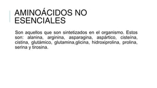 AMINOÁCIDOS NO
ESENCIALES
Son aquellos que son sintetizados en el organismo. Estos
son: alanina, arginina, asparagina, aspártico, cisteína,
cistina, glutámico, glutamina,glicina, hidroxiprolina, prolina,
serina y tirosina.
 