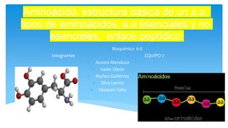 Aminoácido, estructura básica de un a.a.
tipos de aminoácidos, a.a esenciales y no
esenciales, enlace peptídico
Bioquímica 6-E
Integrantes EQUIPO 7
 Acosta Mendoza
 Isaías Ojeda
 Muñoz Gutiérrez
 Silva Lerma
 Vázquez Celio
 