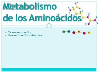  T r a n s a m in a c ió n
 D es a m in a c i ó n o xi d at i v a
Metabolismo
de los Aminoácidos
 