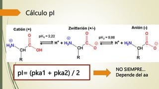 Cálculo pI
pI= (pka1 + pka2) / 2
NO SIEMPRE…
Depende del aa
 