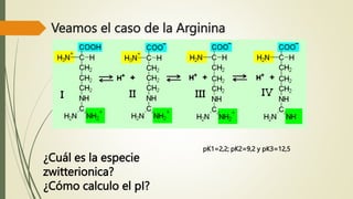 Veamos el caso de la Arginina
¿Cuál es la especie
zwitterionica?
¿Cómo calculo el pI?
pK1=2,2; pK2=9,2 y pK3=12,5
 