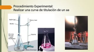 Procedimiento Experimental:
Realizar una curva de titulación de un aa
 