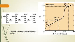Zonas de máxima y mínima capacidad
buffer?
 
