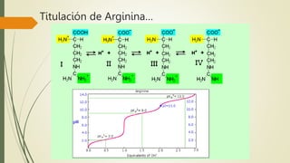 Titulación de Arginina…
 