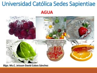 Universidad Católica Sedes Sapientiae
AGUA
Blgo. Ms.C. Jeisson David Cabos Sánchez
 